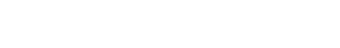 SEARCH OPTIMIZATION