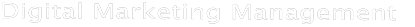 Digital Marketing Management
